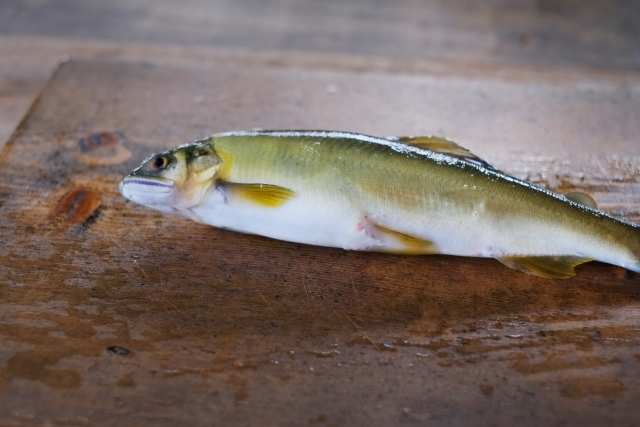 オイルに漬けるだけで簡単長持ち！鮎のコンフィ