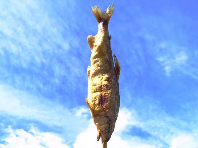 鮎の旬は?美味しい食べ方は?